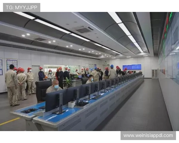 大阳城集团全面解析：企业发展历程与未来战略布局