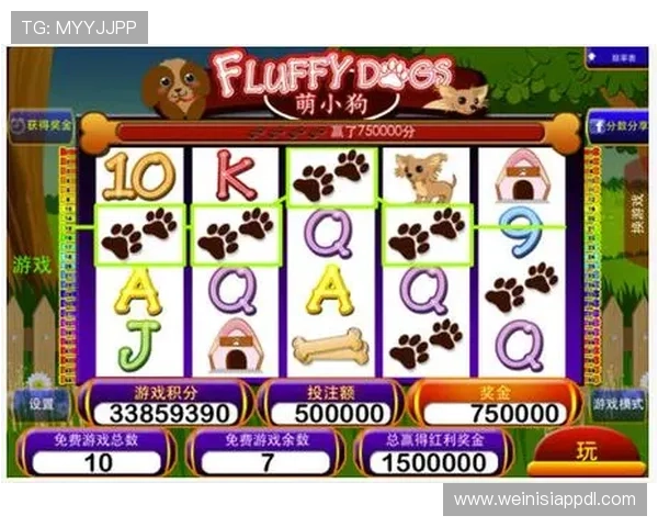 多福多财角子机规则介绍让新手快速上手掌握核心玩法与奖励机制