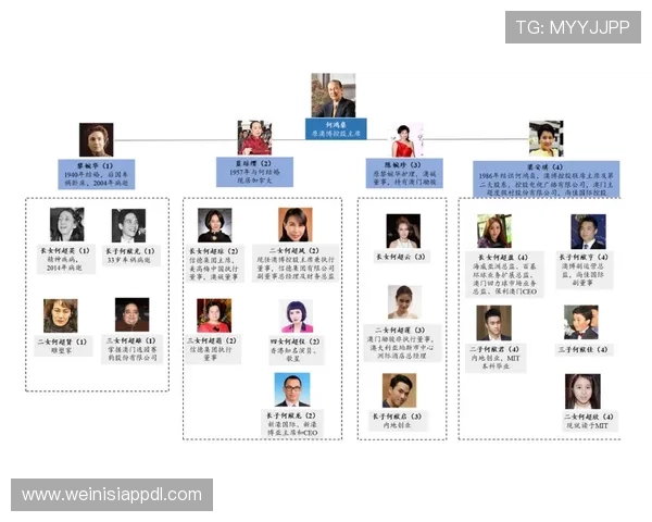 澳门6张赌牌的赌场有哪些，详细解析每家赌场的牌照类型、合法性及运营背景