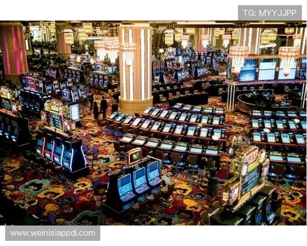 澳门十大博彩排行榜最新榜单，帮助新手玩家快速找到适合自己的博彩娱乐场所