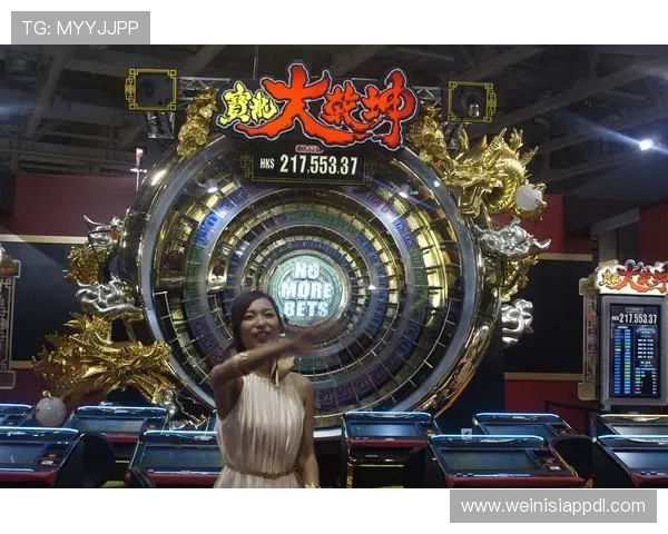 澳门玩角子机娱乐体验指南让你享受高品质的游戏环境与服务