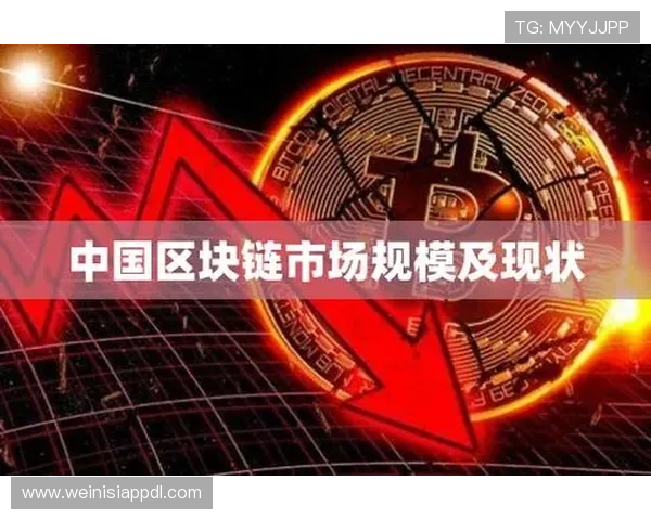 解析ag现金的技术优势,如何提高交易的安全性和效率